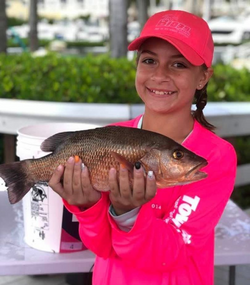 Fishing in Bokeelia – the perfect getaway!